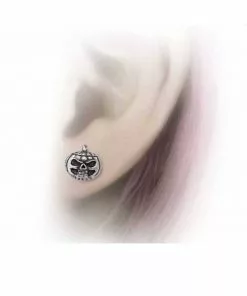 Alchemy Pumpkin Skull Stud Earrings New In