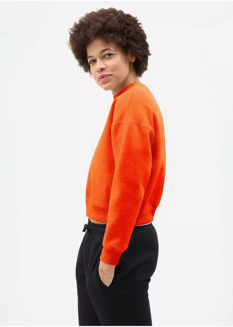 Dickies Womens Ferriday Sweater Orange 5 Dickies Womens Ferriday Sweater Orange