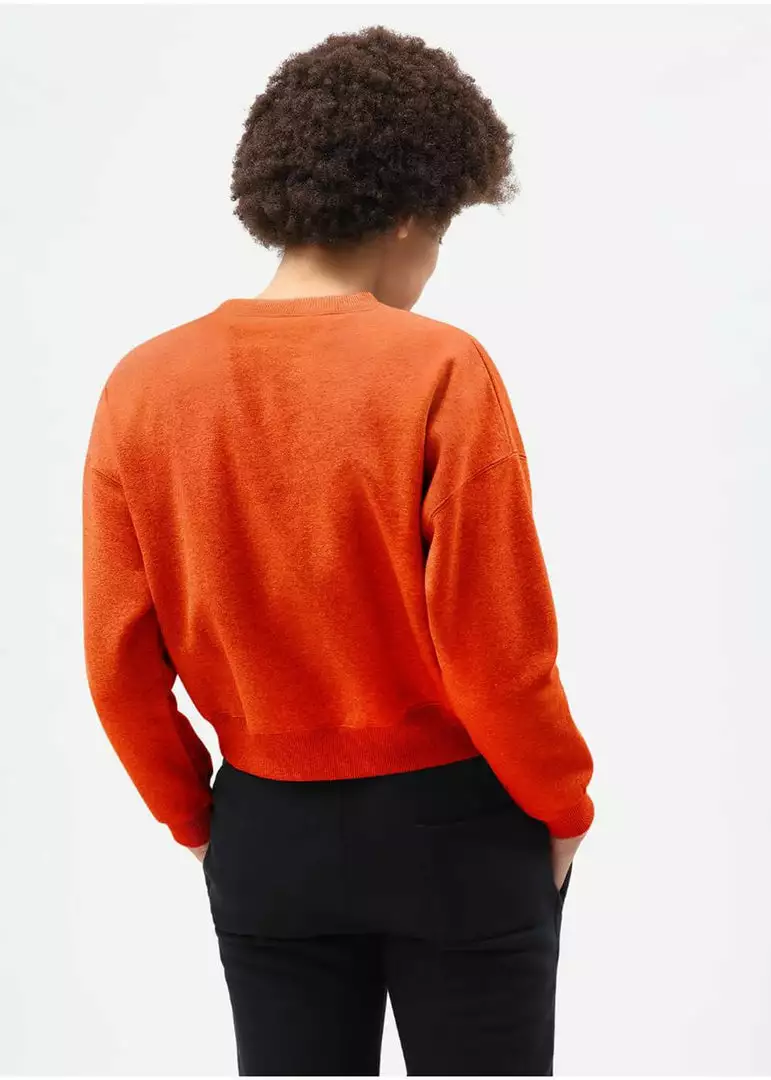 Dickies Womens Ferriday Sweater Orange 6 Dickies Womens Ferriday Sweater Orange