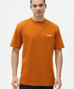 Dickies Mens Bettles Snake T-Shirt Pumpkin Spice Orange New In