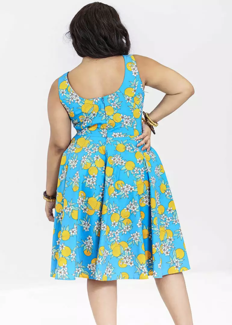 Hell Bunny Valencia Oranges 50's Swing Dress Blue 7 Hell Bunny Valencia Oranges 50's Swing Dress Blue