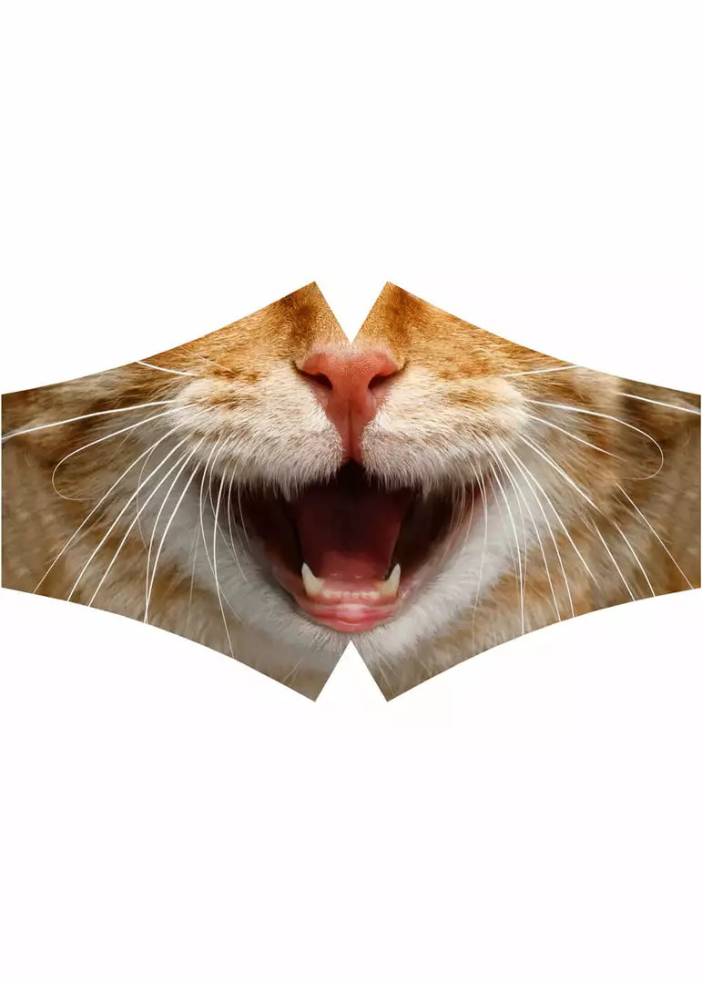 Succubus Facemask Cat New In 3 Succubus Facemask Cat New In