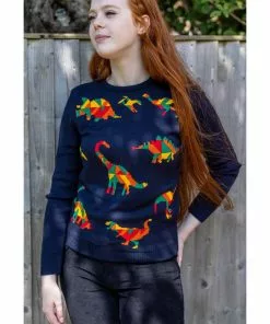 Run And Fly Geo Rainbow Dinoaur 60's Jumper Navyblue