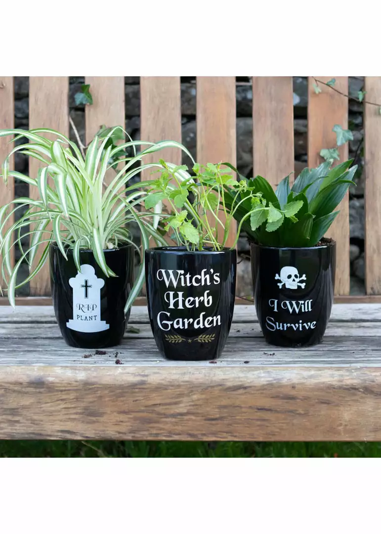 New In Succubus Witch's Herb Garden Planter Black 4 New In Succubus Witch's Herb Garden Planter Black