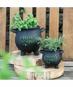 Succubus Herbs For Spells Cauldron Planter Small Black