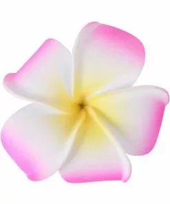 Succubus Largel Foam Party 50's Hairflower Pink New In