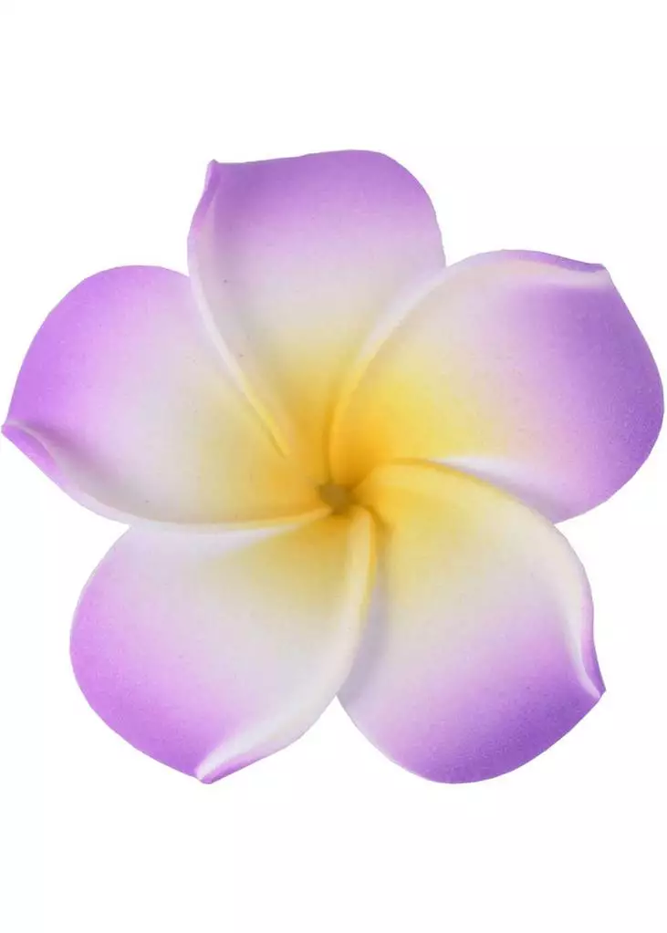 Succubus Small Foam Party 50's Hairflower Purple 3 Succubus Small Foam Party 50's Hairflower Purple