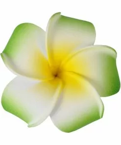 Succubus Small Foam Party 50's Hairflower Green