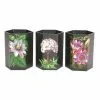 Temerity Jones Botanical Garden Set 3 Pen Pots Black New In