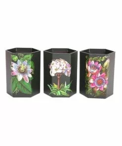 Temerity Jones Botanical Garden Set 3 Pen Pots Black New In