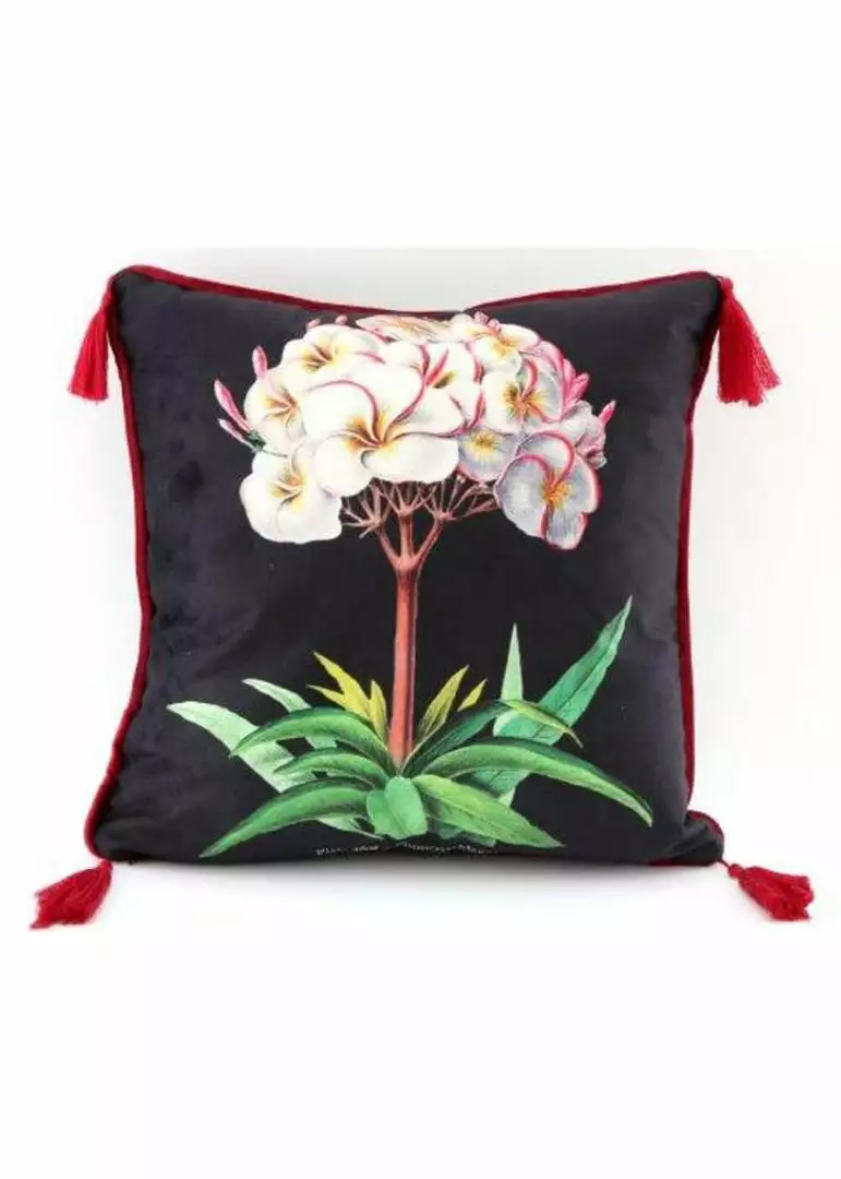 Temerity Jones Botanical Garden Cushion Black Green 4 Temerity Jones Botanical Garden Cushion Black Green