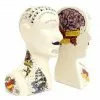 New In Temerity Jones Phrenology Tattoo Set Bookends Multi 1 New In Temerity Jones Phrenology Tattoo Set Bookends Multi