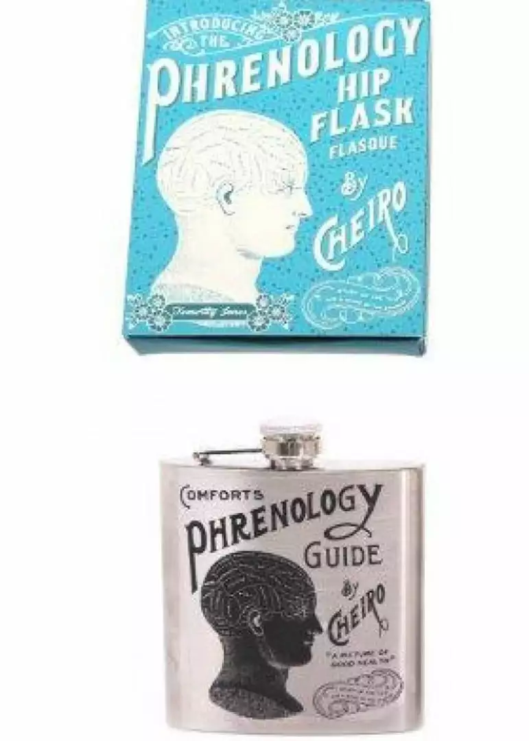Temerity Jones Phrenology Flask Silver New In 3 Temerity Jones Phrenology Flask Silver New In